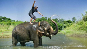 Hotel Royal Safari Chitwan